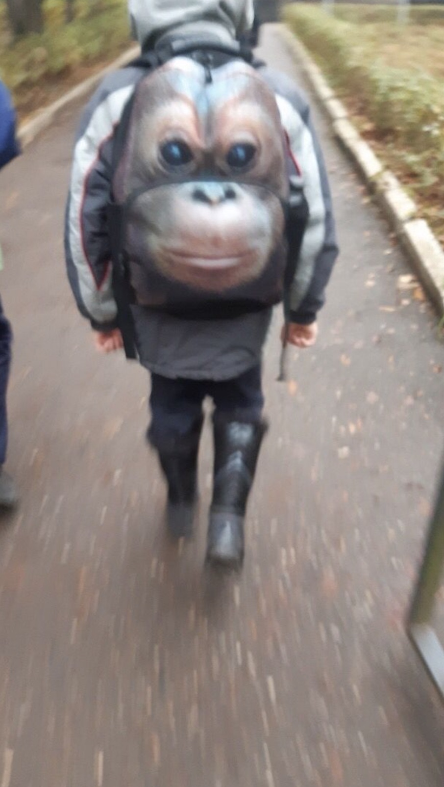 monkey backpack